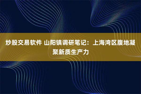 炒股交易软件 山阳镇调研笔记：上海湾区腹地凝聚新质生产力