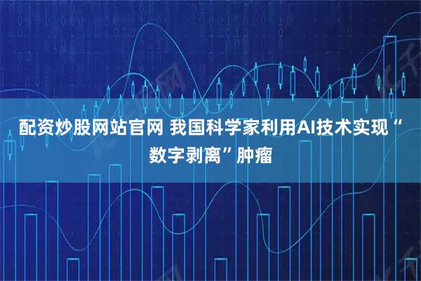 配资炒股网站官网 我国科学家利用AI技术实现“数字剥离”肿瘤